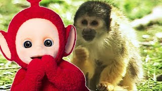 Feeding the Monkey and Animal Parade - Teletubbies Full Episode