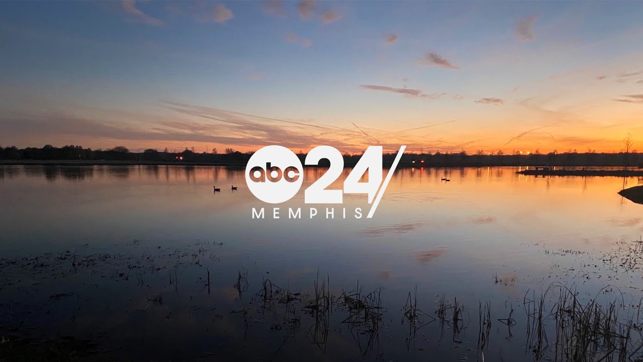 ABC24 Memphis Live Stream YouTube
