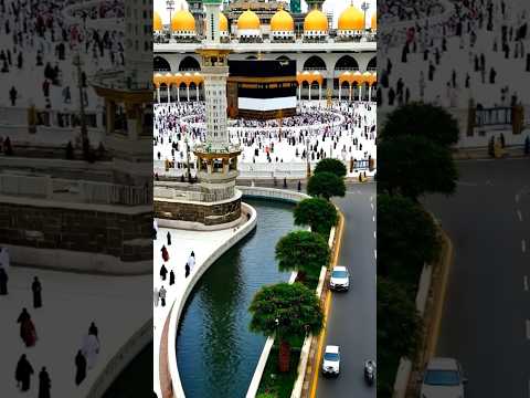 اكسبلور اغاني متابعه لايك تصميمي     