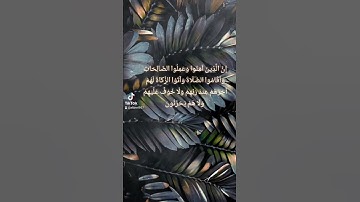 القارئ يحيى عبدالله صلاح تلاوة خاشعة