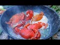 Sea Crabs Recipes - Catch and Cooking a lot of Crabs in the forest