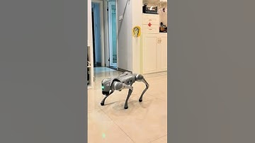 Unitree Go2 – UnitreeRobotics