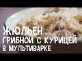 Жюльен из курицы с грибами в мультиварке. Рецепт куриного жюльена с грибами