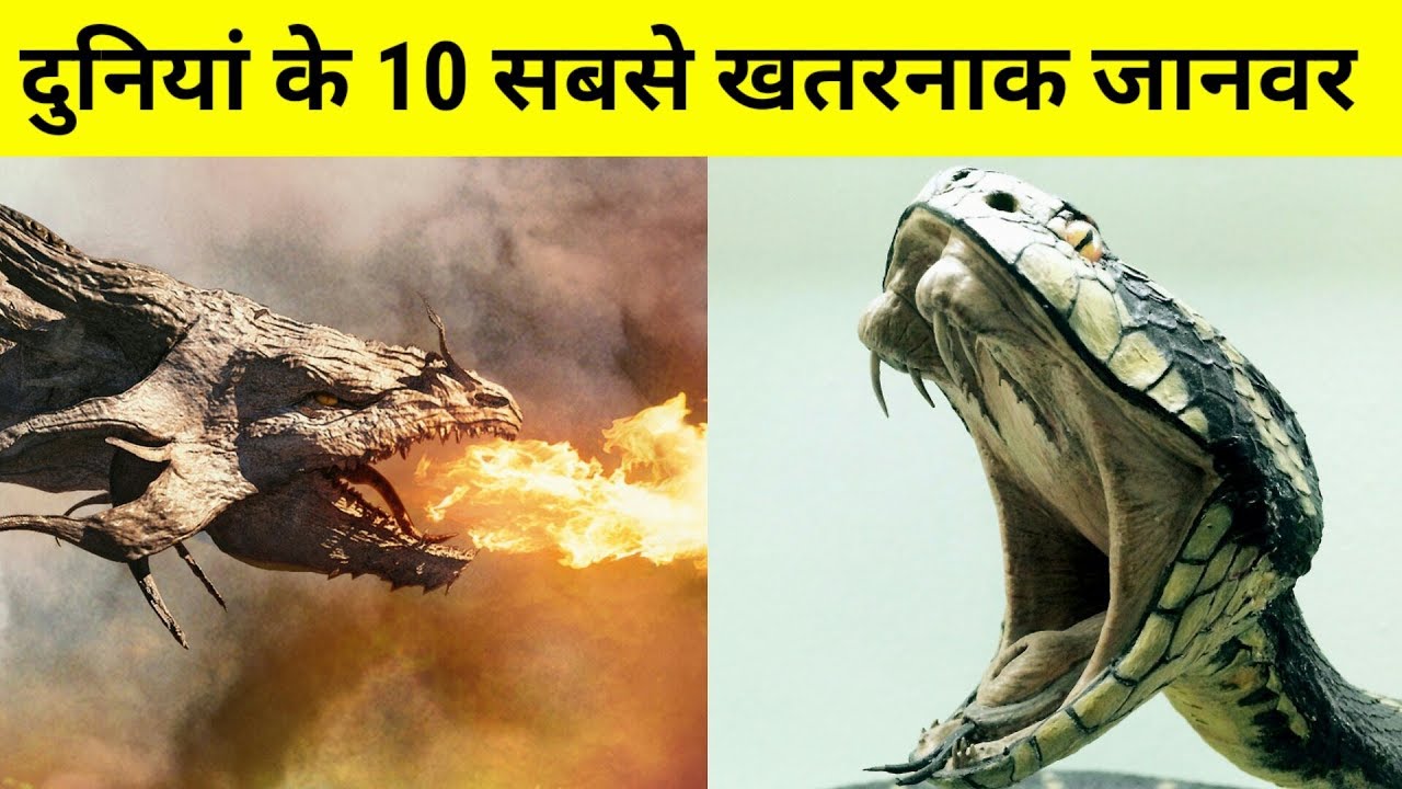 Duniya Ka Sabse Khatarnak Janwar andre