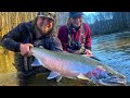 MONSTER STEELHEAD Fishing In The RAINFOREST!