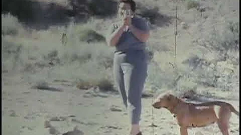 Cadwallader Video 1