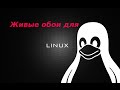 Живые обои livewallpaper для linux