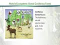 ZOO507 Principles of Animal Ecology Lecture No 65