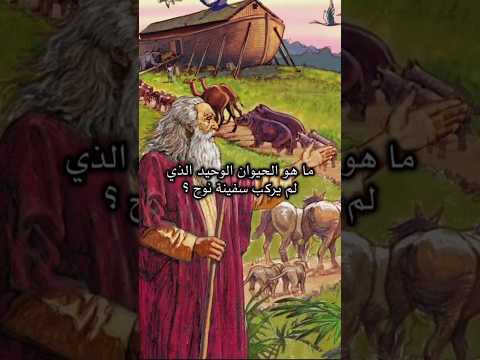 ما هو الحيوان الذي لم يركب سفينة نوح الإجابة ستدهشك