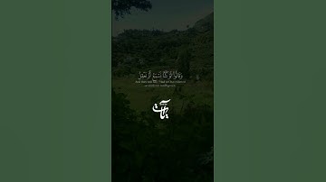 وقالوا لو كنا نسمع أو نعقل ما كنا في أصحاب السعير / سورة الملك | القارئ 🎙️القارئ اسلام صبحي