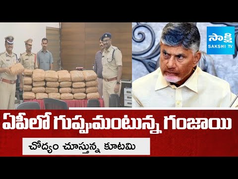 Sakshi Special Story On Ganja In AP | Kutami Govt Negligence On curbing ganja | SakshiTV - SAKSHITV