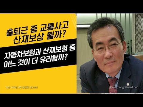 자동차보험회사순위