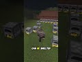 One Fun Fact About every item In Minecraft ChainMail Chestplate
