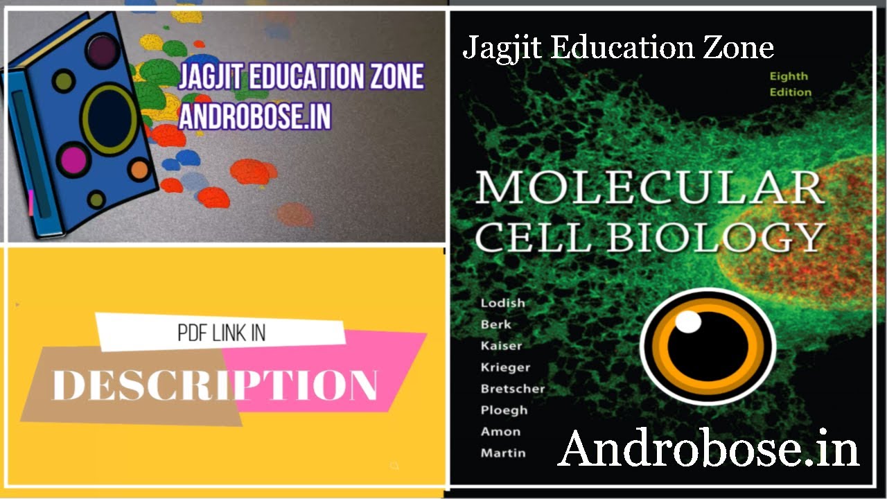 Molecular Cell Biology Lodish 8th Edition Pdf Free - YouTube