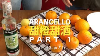 【 夏日水果甜酒特輯 - 第一集Part1】自製義大利甜橙甜酒 Arancello - PART 1