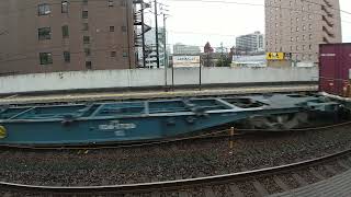 EF66牽引貨物列車(下り)&313系(上り)三河安城駅通過  構内すれ違い
