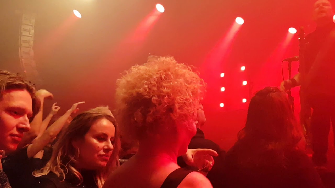 Seigmen. Hjernen er alene.