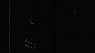 كرومات للتصميم شاشة سوداء خطوط بيضاء & بروكام للمونتاج تأثير فيلم قديم كين ماستر بدون حقوق