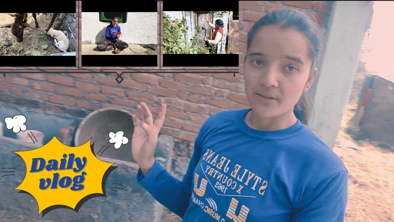 Simba na Kajal ko kar deya pareshan 😂