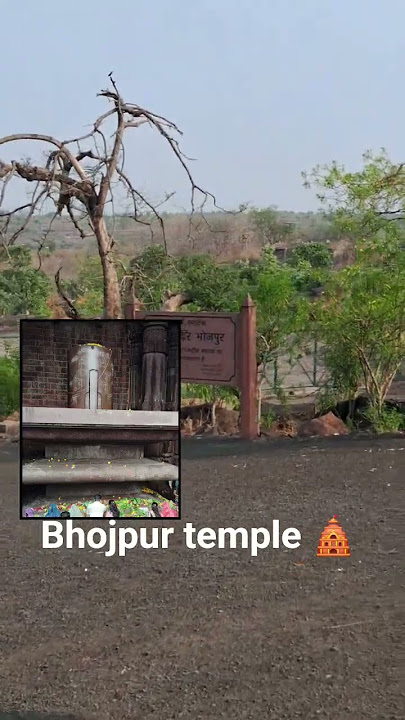 madhy pradesh #bhojpur temple 🛕 #shorts #shortvideo