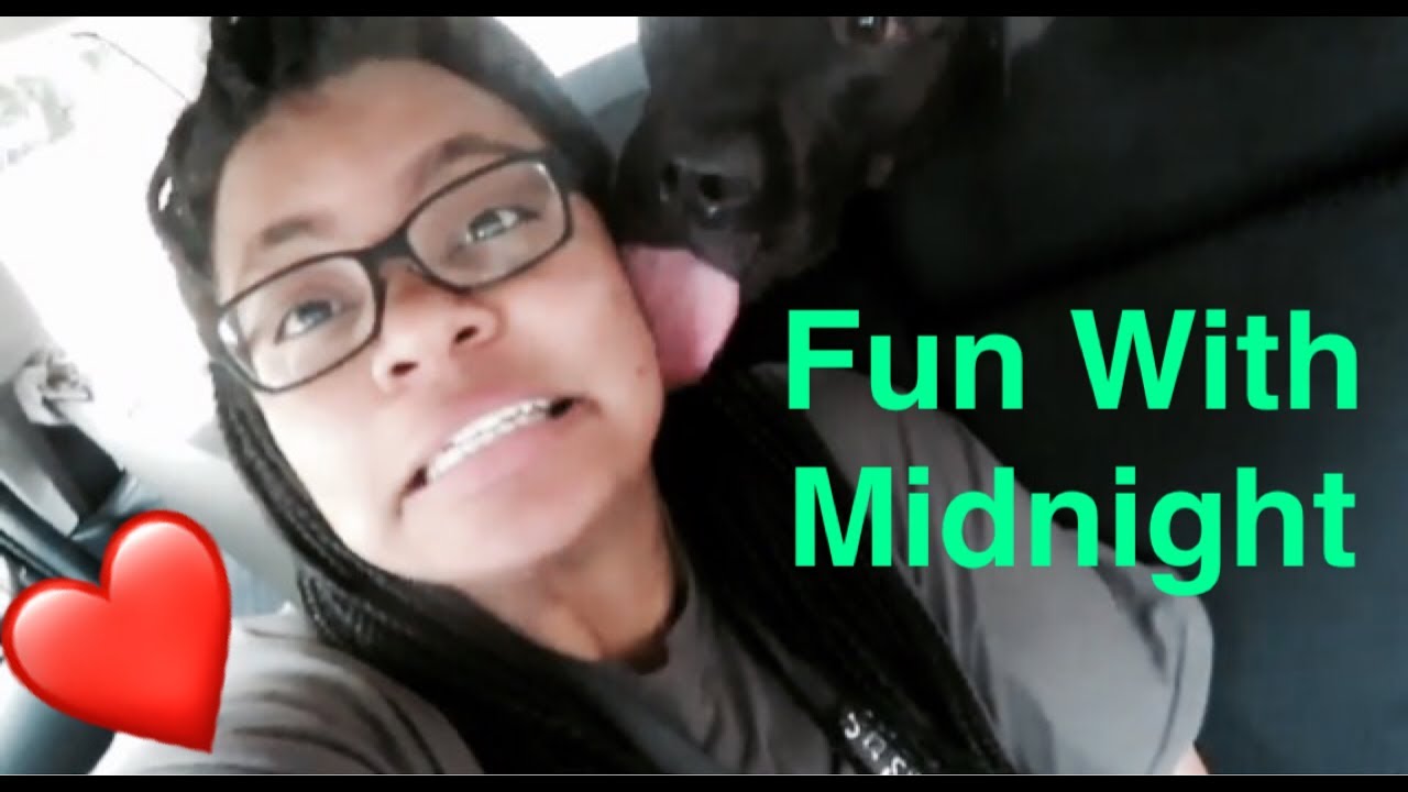 Nipper Dog Hunting I TriumphantlyKJ 💥