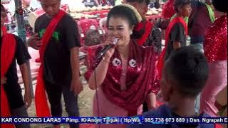 Tayub Sekar Condong Laras | Live panjang - Kedungadem 2