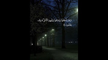 طارق محمد سورة الحجر