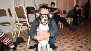 В гостях в кормиловке.wmv В гостях в кормиловке.wmv
