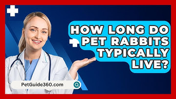 How Long Do Pet Rabbits Typically Live? - PetGuide360.com