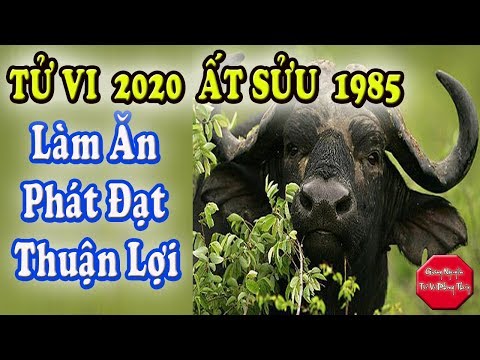 Video Ất Sửu 2020, Một Năm Phát Đạt Nhiều Cơ Hội Làm Giàu. - youtube