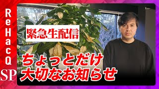 ReHacQ−リハック−【公式】の配信のサムネイル画像