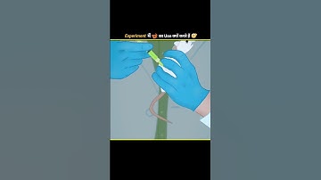 Why Rats used in experiments 🐀😬