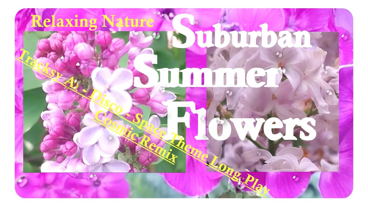Relax Nature - Suburban Summer Flowers - Disco Cosmic Remix - Tracksy Ai Space Theme Long Play Edit