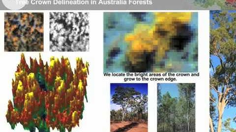 eCognition Image Analysis:  Univ of Wales Webinar Part 2/3 (Tree Crown Delineation)