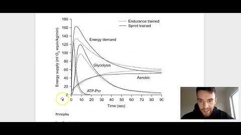 Energy Systems and Cardiovascular Training Protocols | Paddy