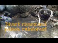 How to divert rivers and using poisonous plants to catching fish, North Borneo Rainforest