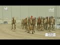 الشوط   خنجر  اطلس  ل  سعيد جابر عبدالله حربي           مهرجان سمو أمير قطر           ثنايا الشحانية حالتي