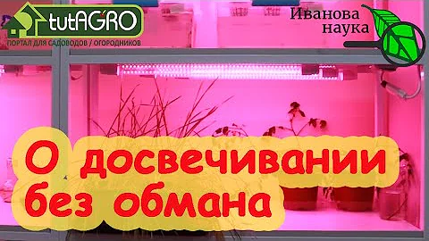 И БАБУШКАМ БУДЕТ ПОНЯТНО! Почему я выбрал ФИТОЛАМПУ для подсветки рассады? Простое правило 100 Ватт.