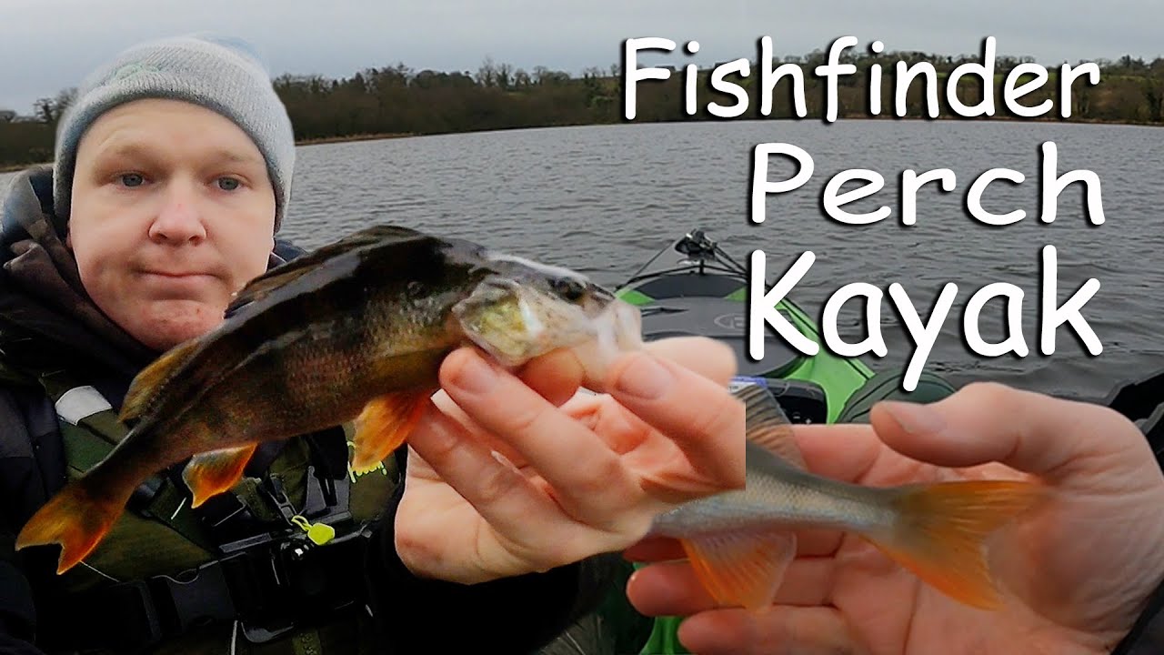 Perch Fishing from a Kayak using a Fishfinder YouTube