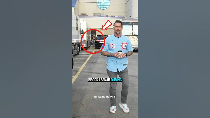 Did You Spot Brock Lesnar Behind CM Punk?