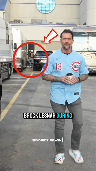 Did You Spot Brock Lesnar Behind CM Punk?