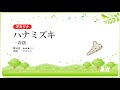 【オカリナ】ハナミズキ／一青窈【楽譜あり】