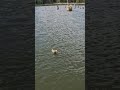A Tobie co się stało???