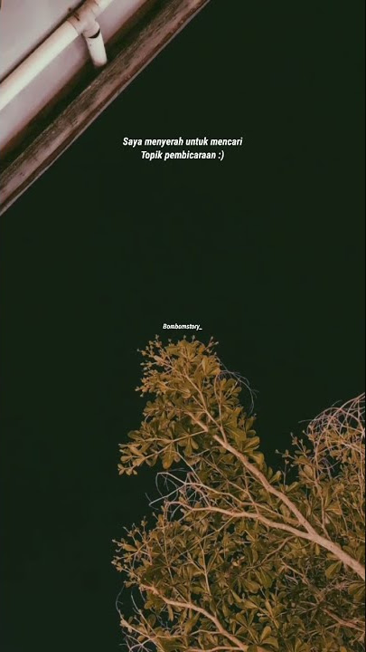 DJ SAKITNYA TUTUTU MAIMUNAH 🎶 • STORY WA 25 DETIK KEREN KEKINIAN  • VIRAL TIKTOK