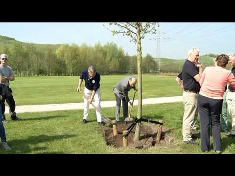 Koningslinde voor Golfclub de Gulbergen