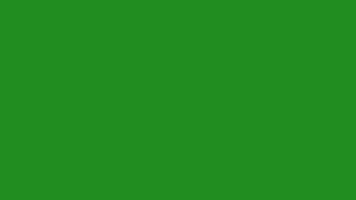 Forest Green for 4 minutes