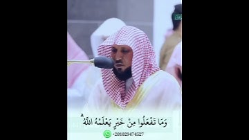 حالات واتس اب _ الحج اشهر معلومات  سورة البقرة الشيخ ماهر المعيقلي. maher al-muaiqly