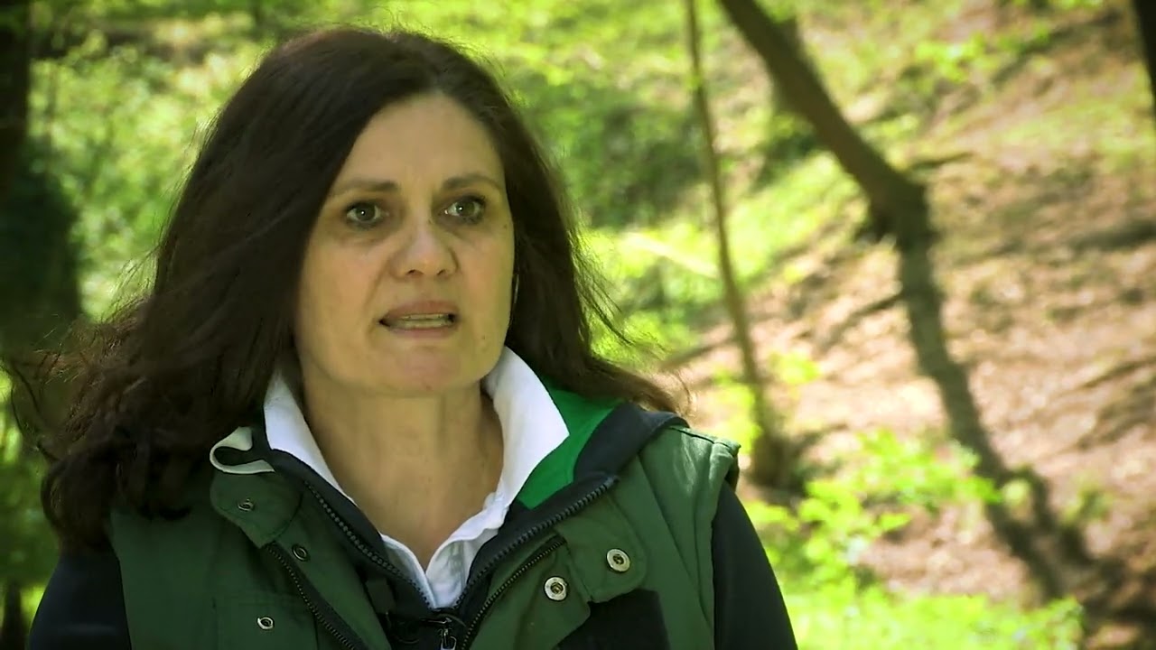 Moja lepa Srbija: Fruška gora - skrivene lepote