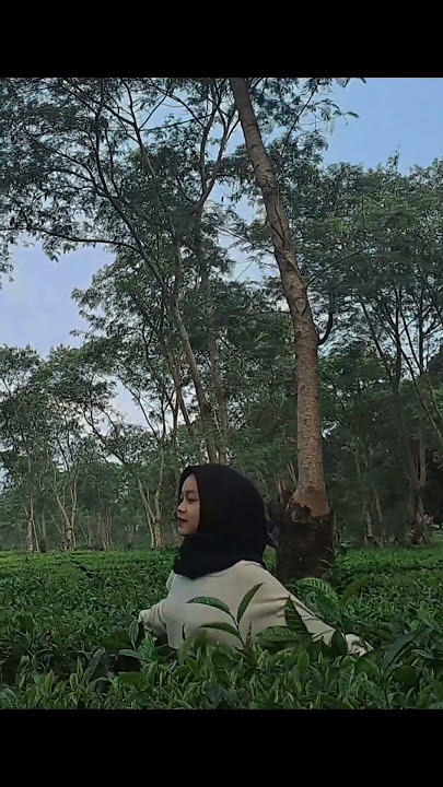 Tresno Liyane - Northsle Ft Agiff | COVER BY EIKA SAFITRI 