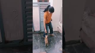"మా ఇంటికి ఒక క్యూట్ అతిథి వచ్చారు, చూడండి!....#viral #telugushorts #unscripted lacchis life
